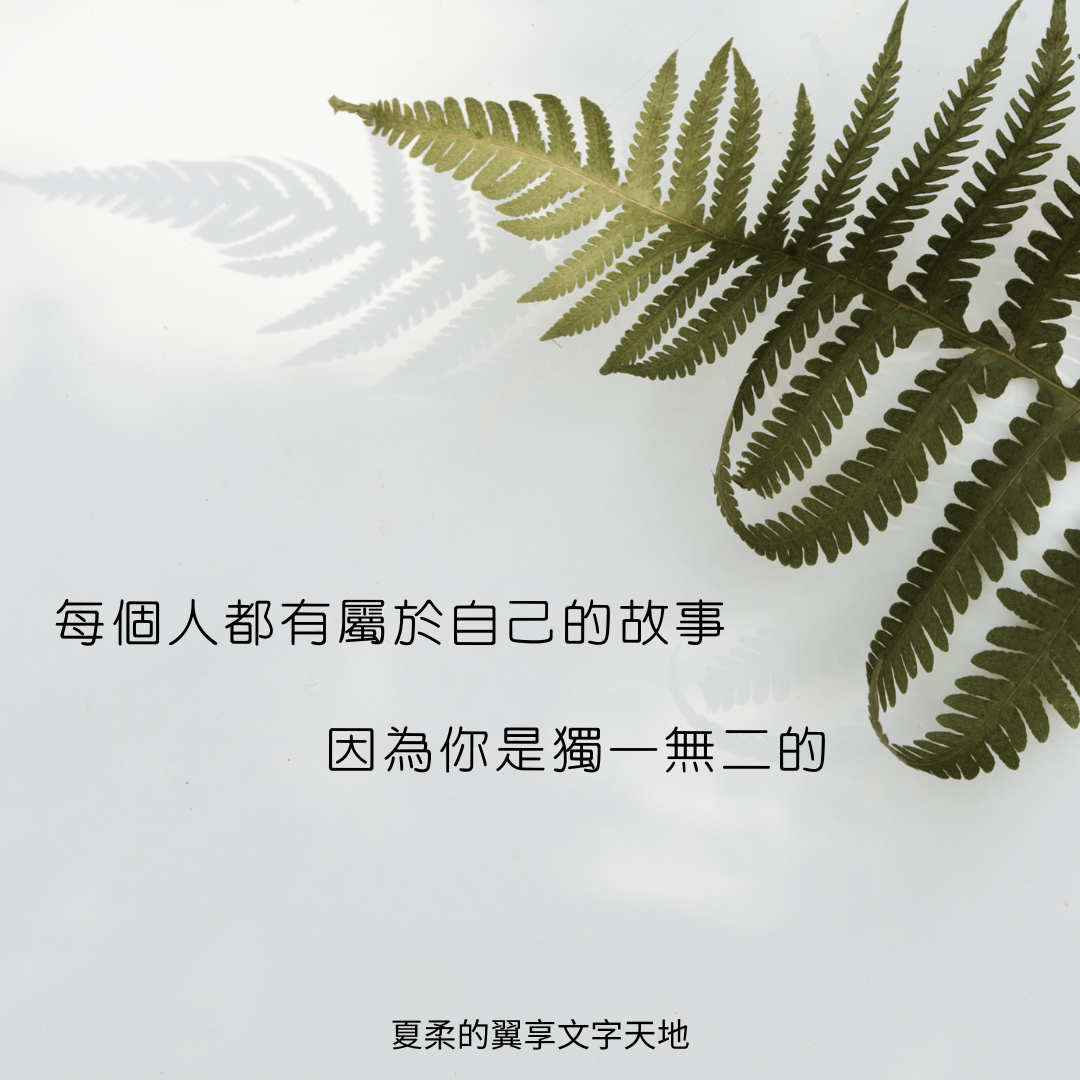 關於故事客製化 1 2025 62